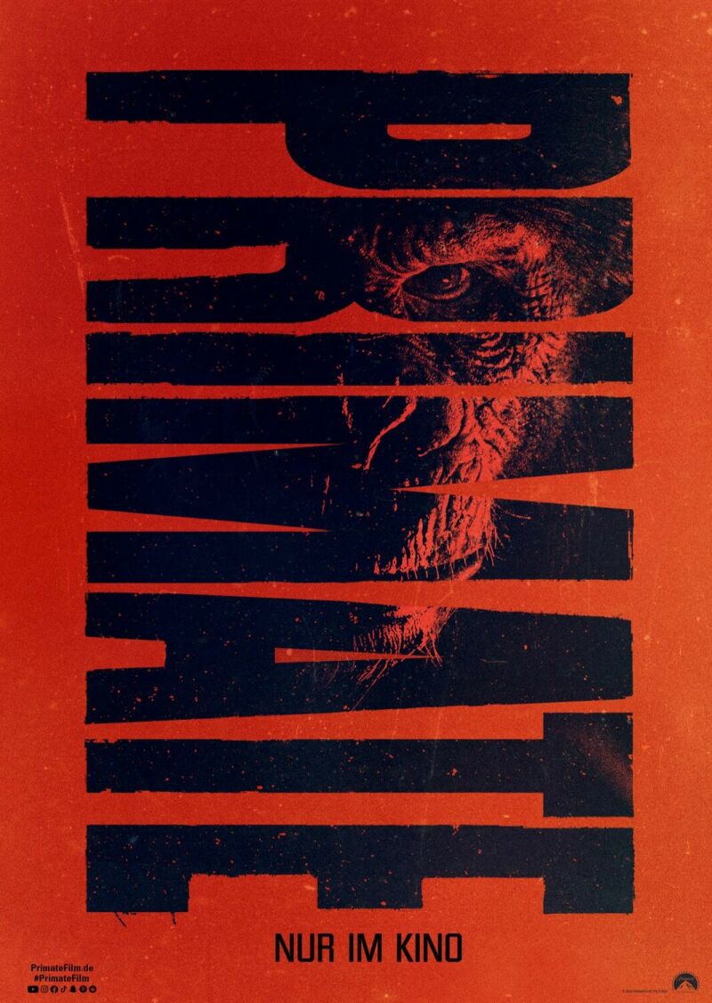Szene aus Primate