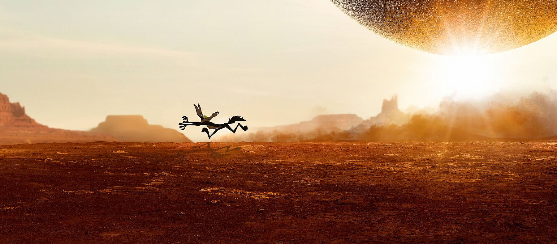 Coyote v. Acme