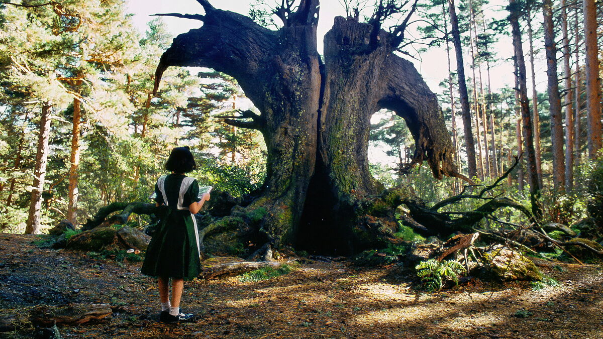 Szene aus Pans Labyrinth - Best of Cinema